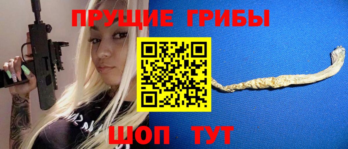 Галлюциногенные грибы Cubensis Рязань