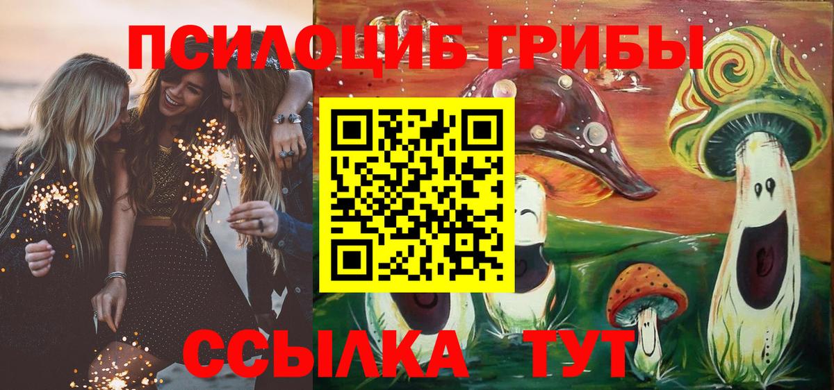 Рязань  магазин продажи   Псилоцибиновые грибы MAGIC MUSHROOMS  Вход с VPN  Галлюциногенные грибы мухоморы 